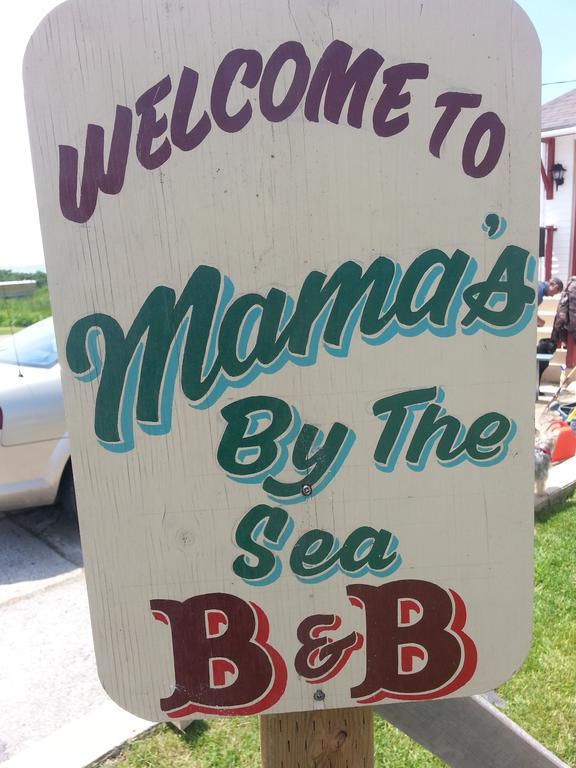 Mama'S By The Sea B&B Clark's Harbour Buitenkant foto